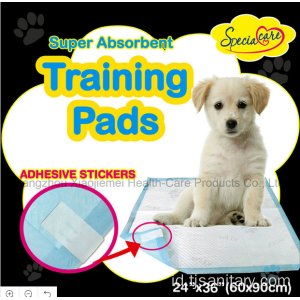 Animal Urine Wee Wee Training Pad